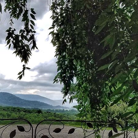 Blue Ridge Manor Bed And Breakfast Fancy Gap エクステリア 写真