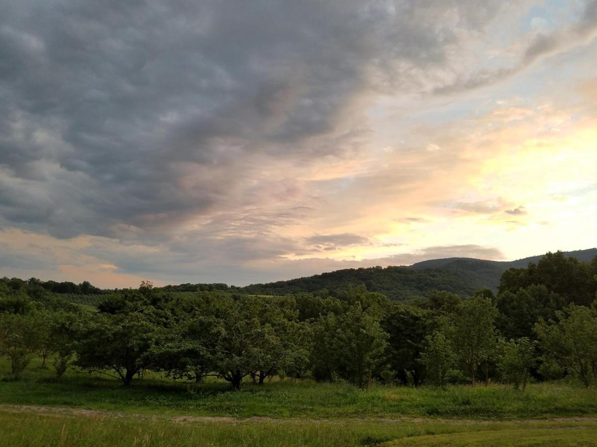 Blue Ridge Manor Bed And Breakfast Fancy Gap エクステリア 写真